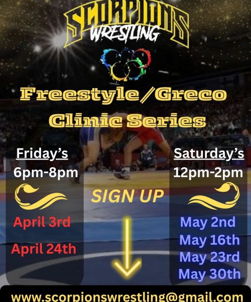 International Styles Clinic Series